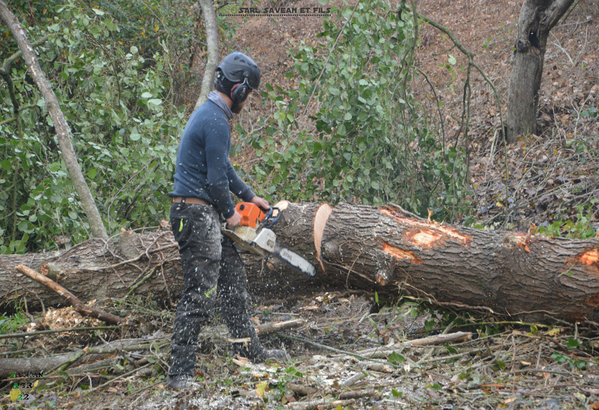 travaux coupe arbre cotes armor savean