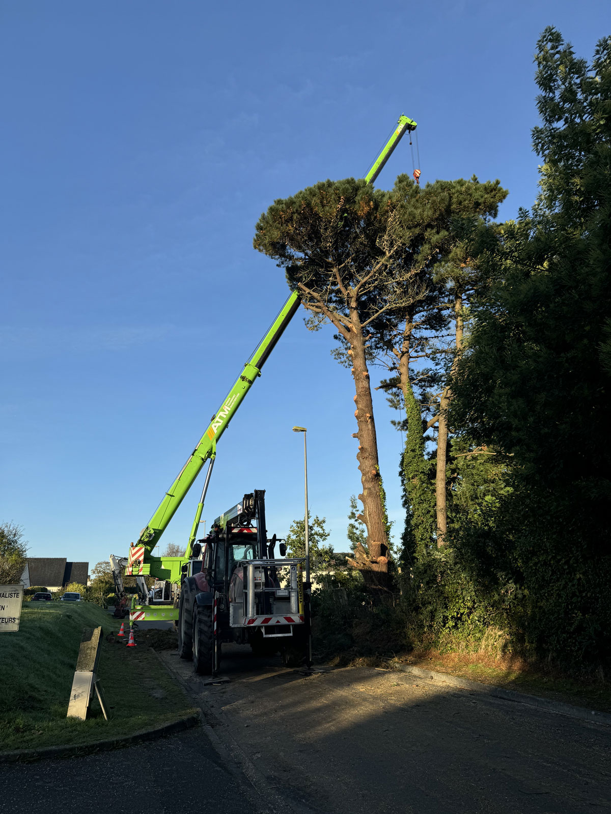 Louannec démontage grand arbre Savean
