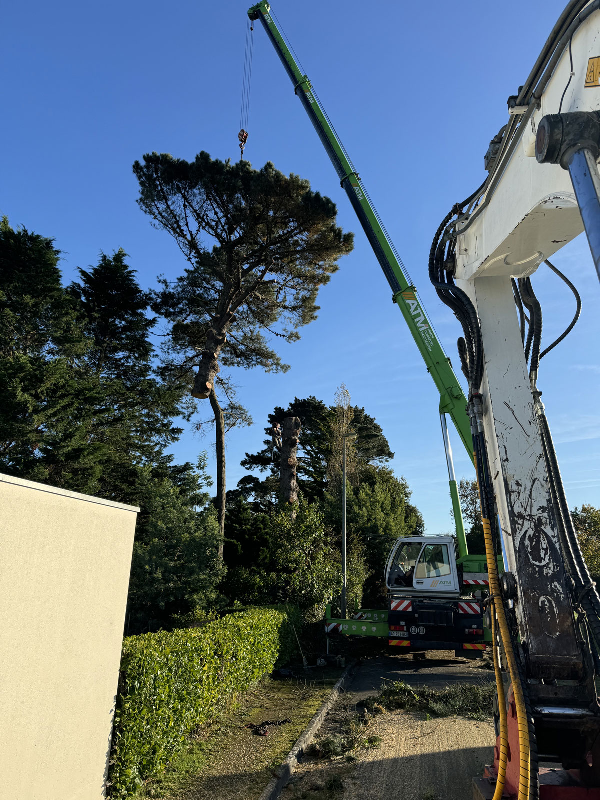 Grue coupe grand arbre Côtes d'Armor