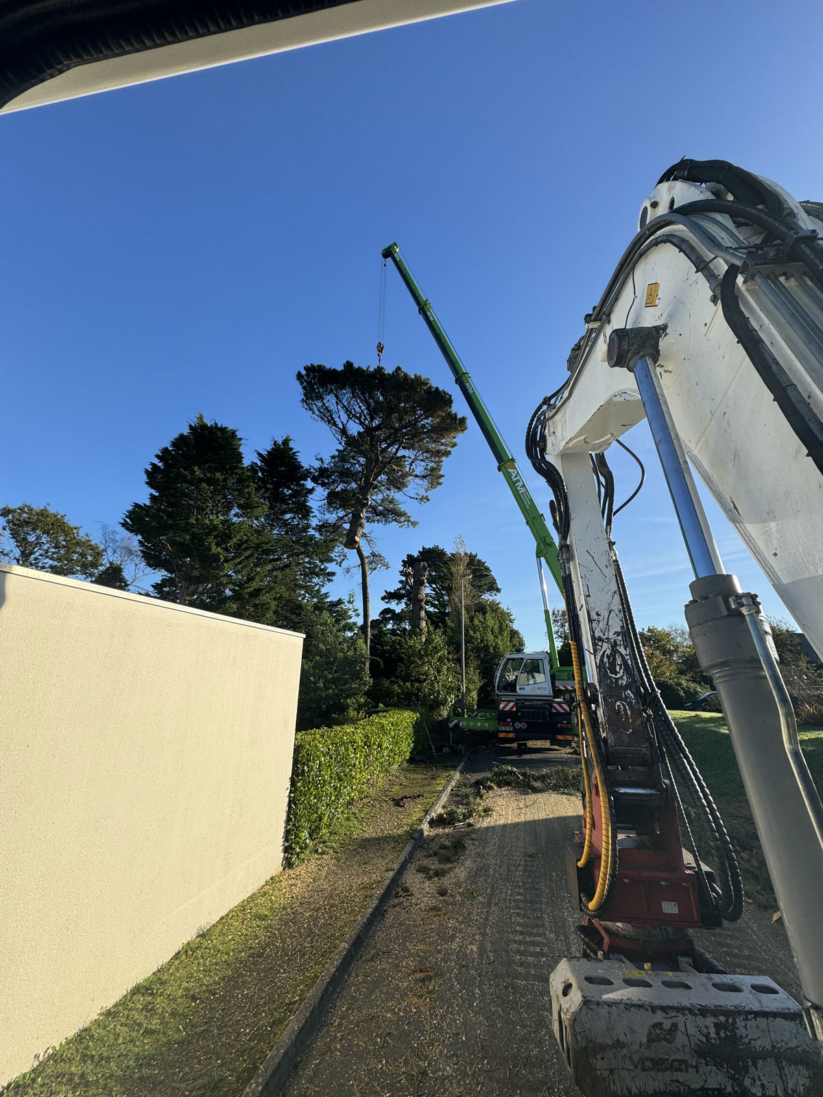 Grue coupe grand arbre Perros Louannec Trebeurden