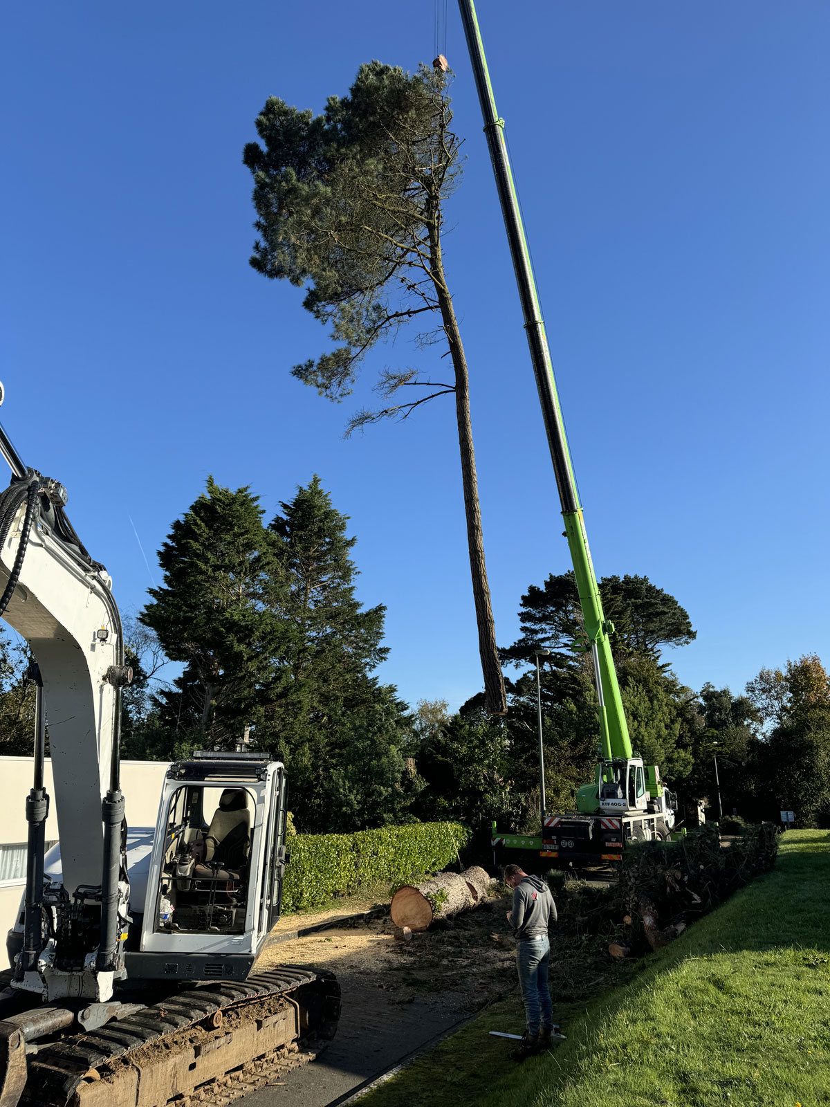 A Louannec démontage par Savean & Fils d'un arbre avec la grue