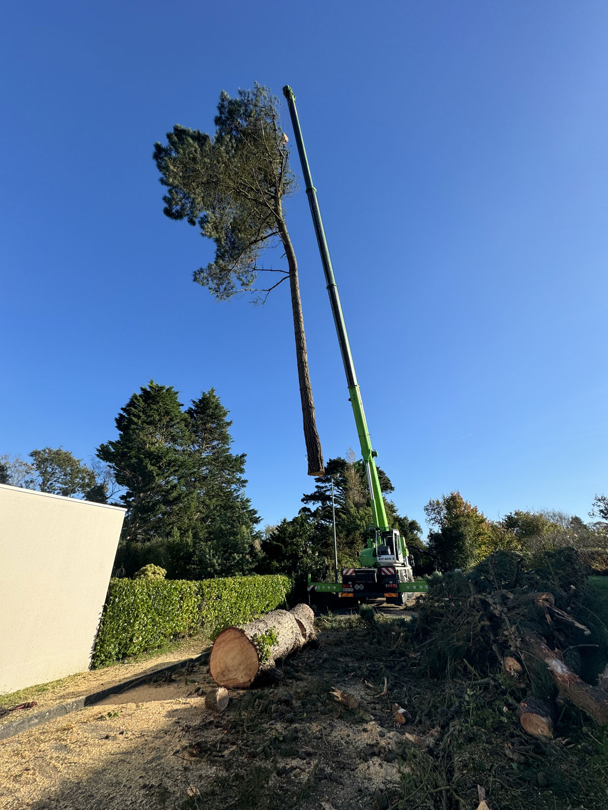 Coupe grand gros arbre dangereux Côtes d'Armor Savean