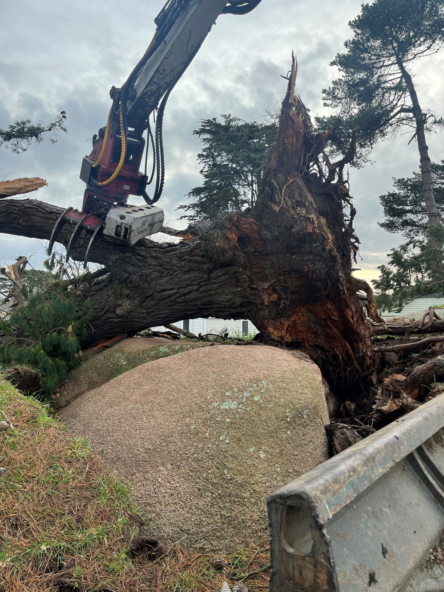 Travaux couper arbre tempete ciaran bretagne savean
