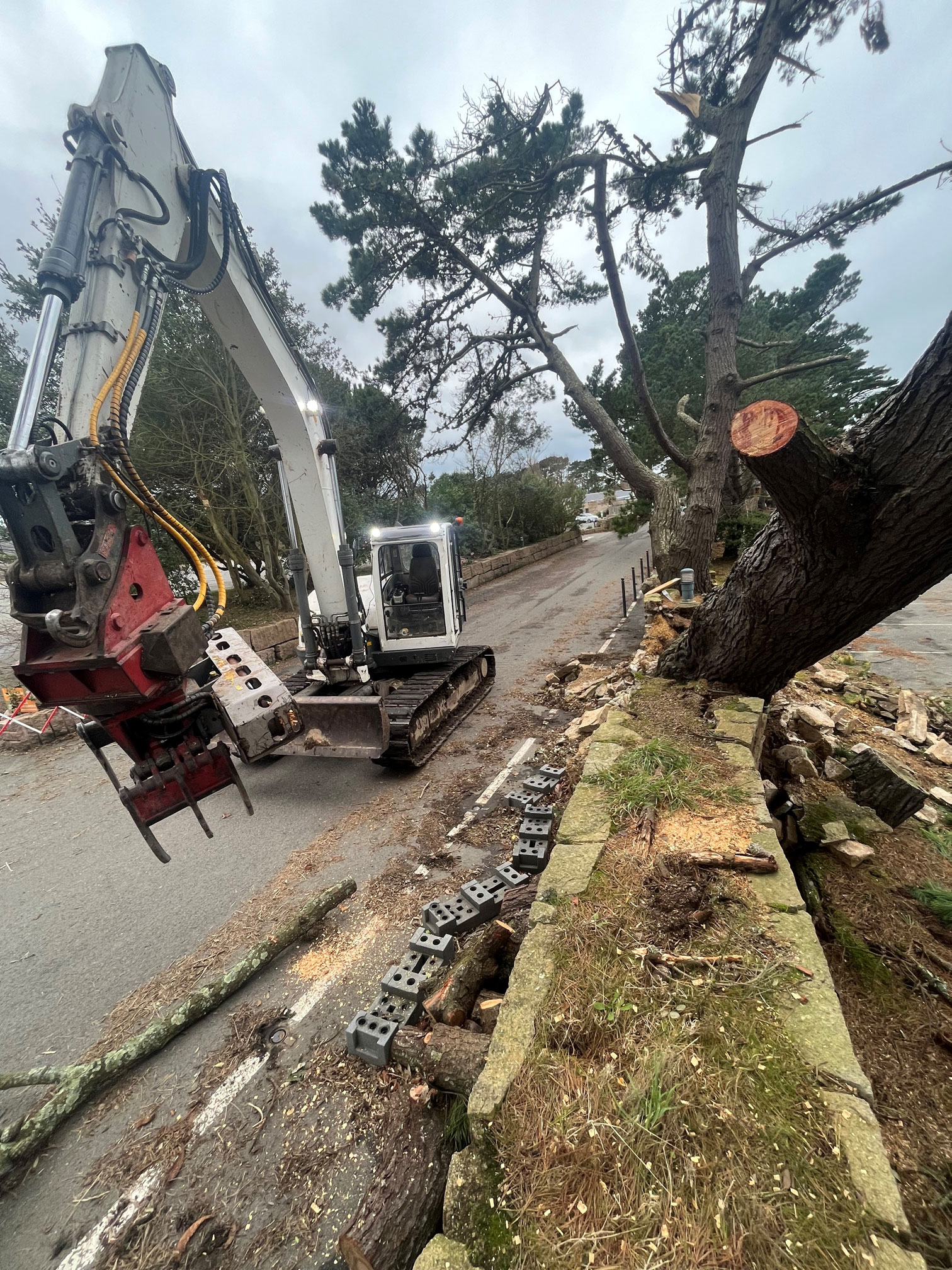 Travaux urgent arbre tempete ciaran bretagne savean