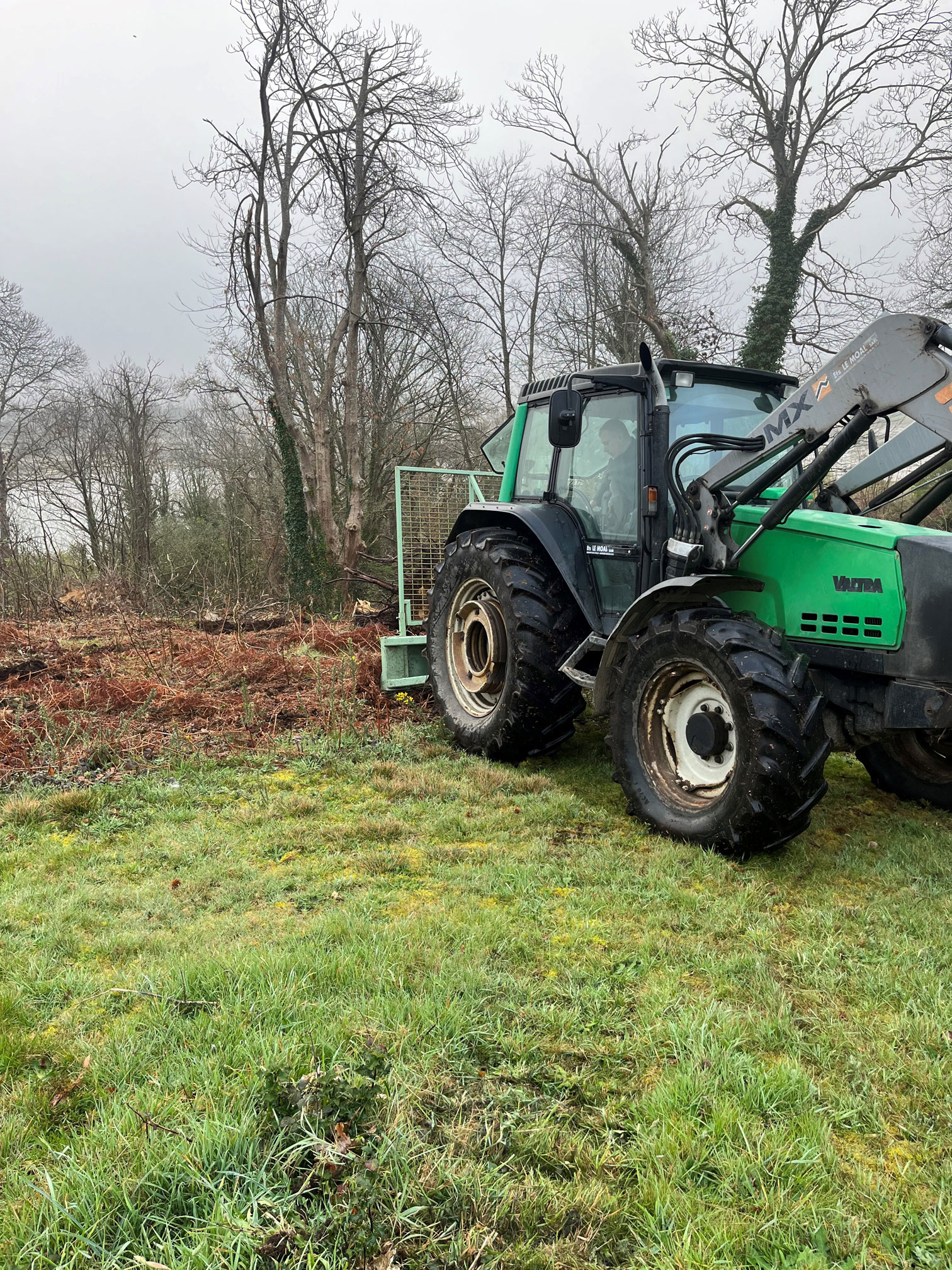 Broyage savean arbre tempête ciaran tregastel