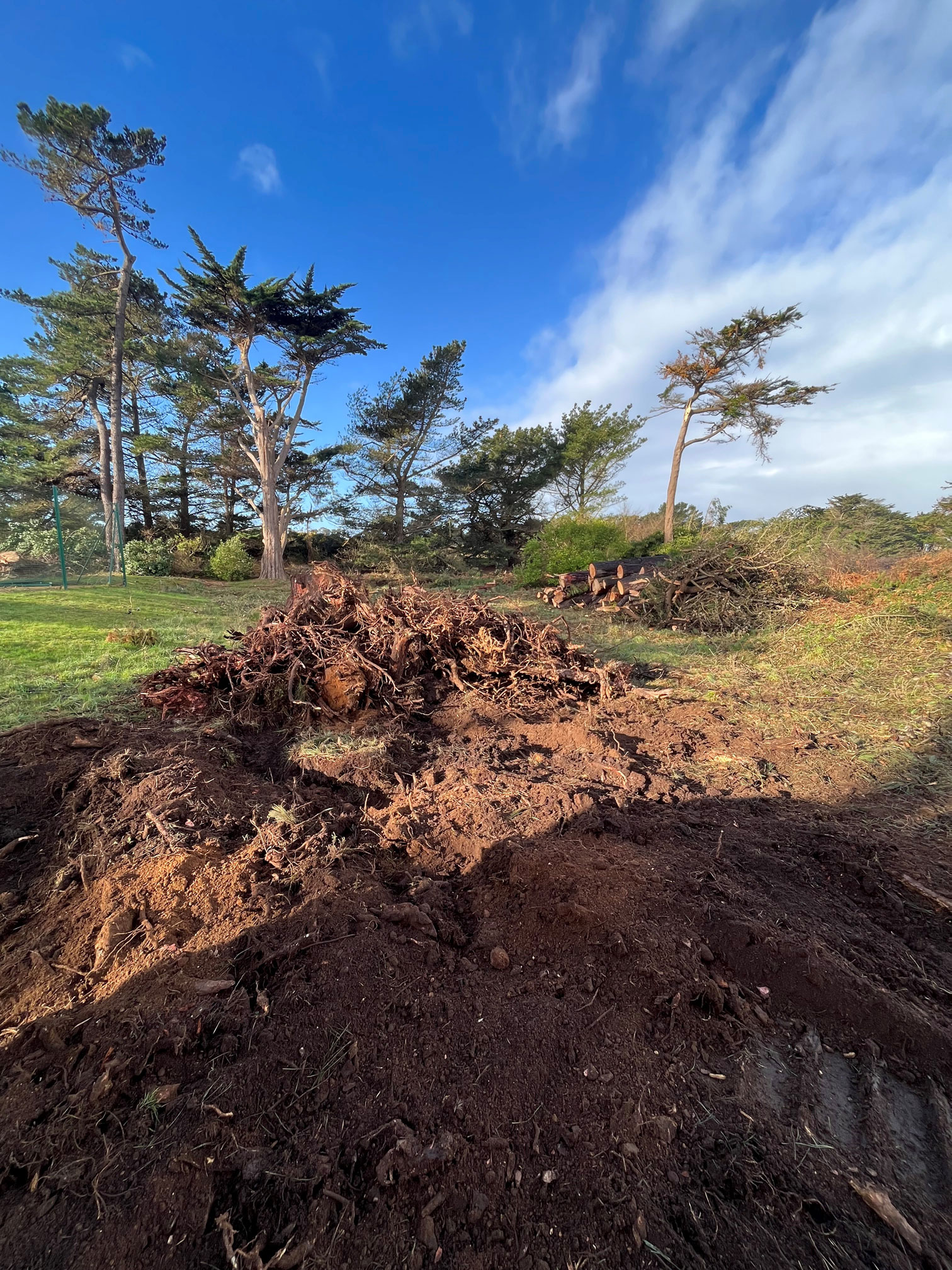 Broyage savean arbre tempête ciaran tregastel