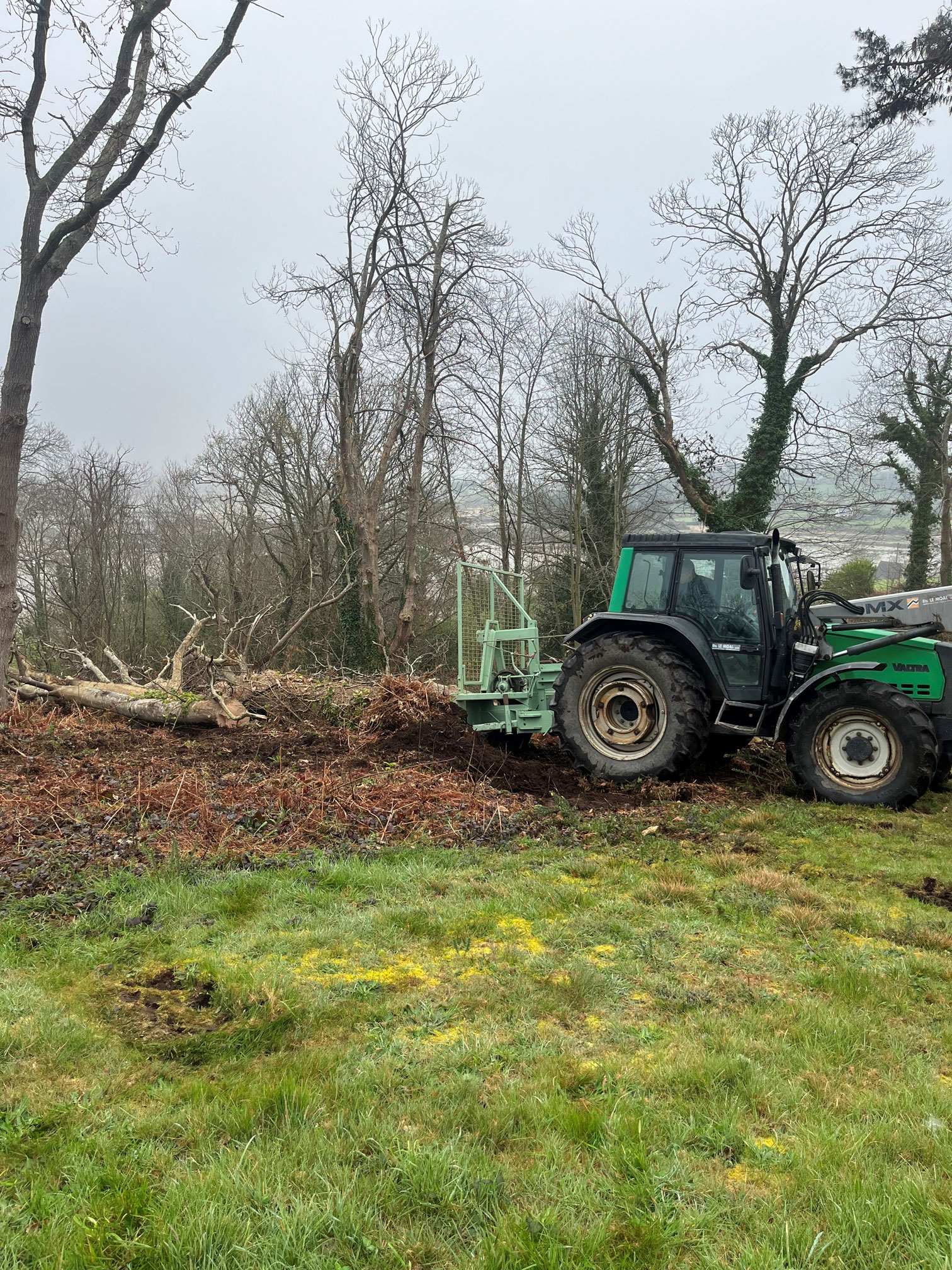 Enlèvement souches savean arbre tempête ciaran