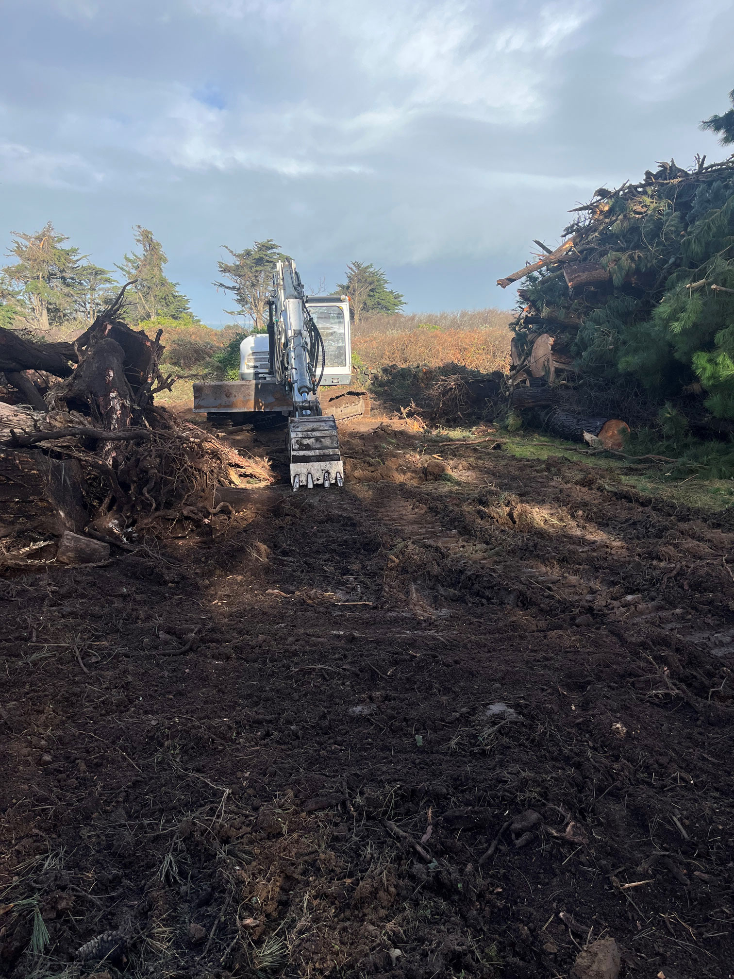 Enlèvement souche savean arbre tempête ciaran