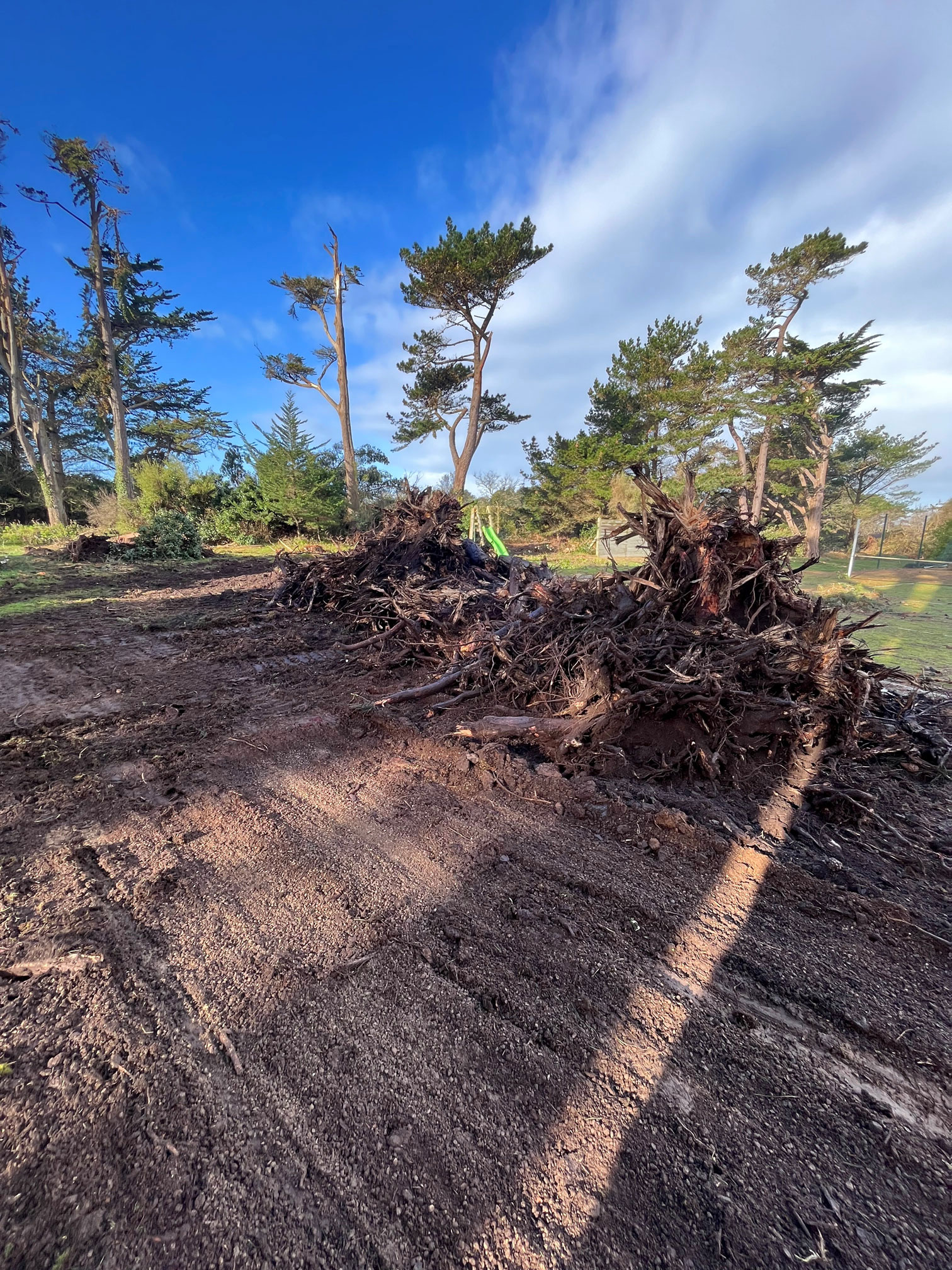 A Ploumanac'h remise en état d'un terrain suite à la tempête