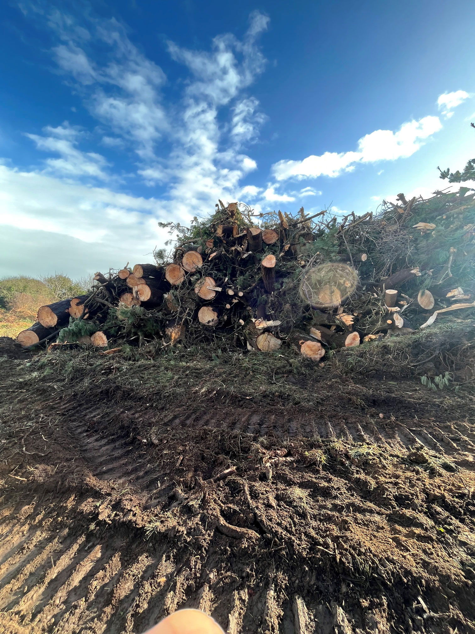 Broyage arbre tempête tregor savean