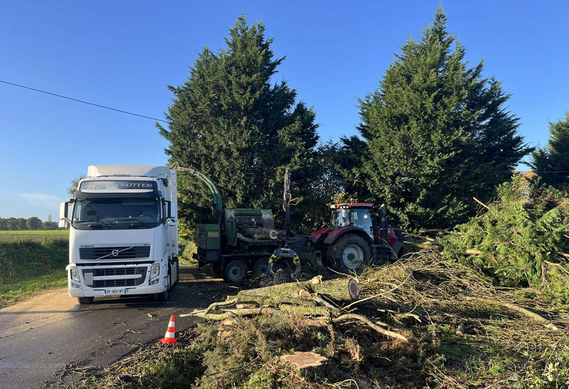 Broyeur bois arbre 22 tregor goelo argoat Broyeur arbre bois tregor goelo argoat