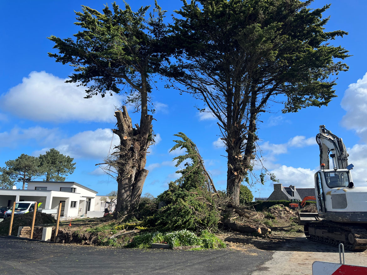 Demontage arbre trelevern savean