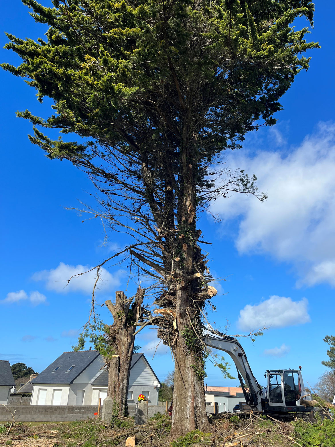 Demontage arbre penvenan trevou savean
