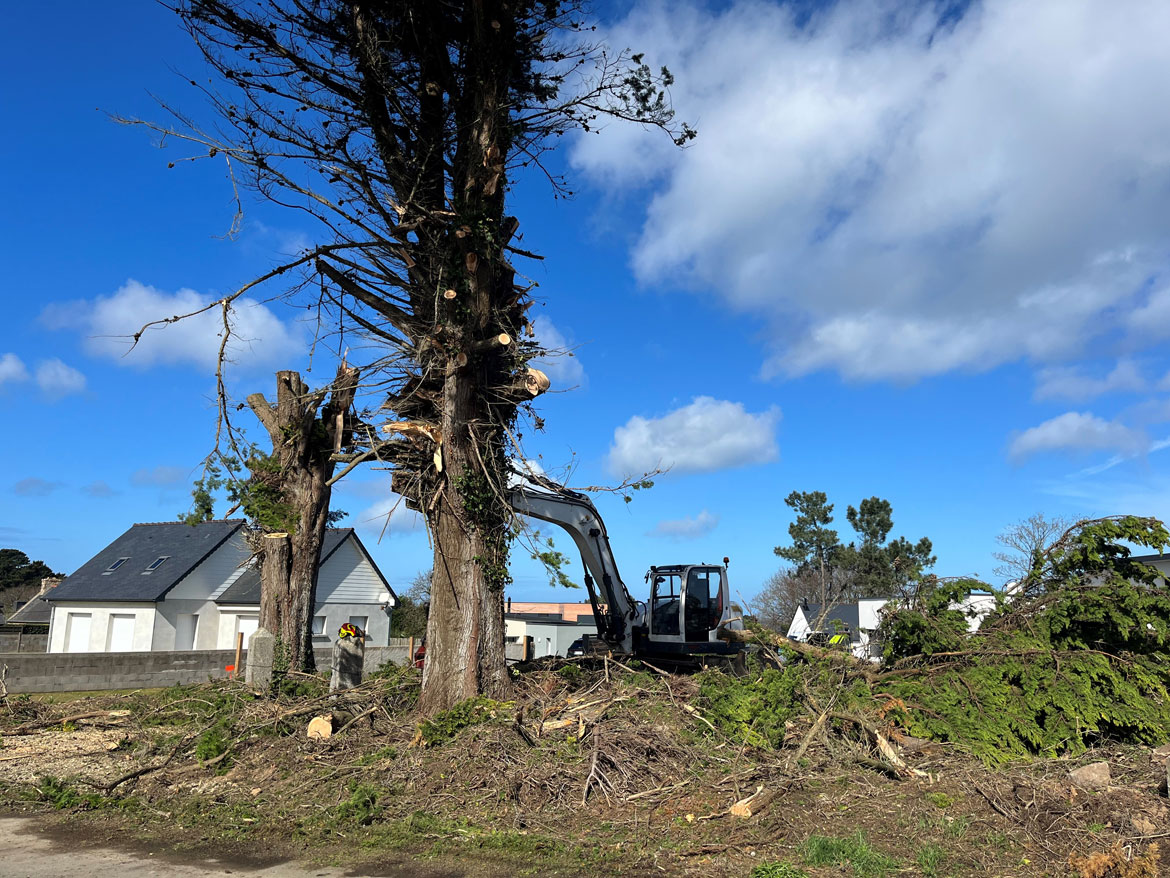 Demontage cypres lannion trevou savean