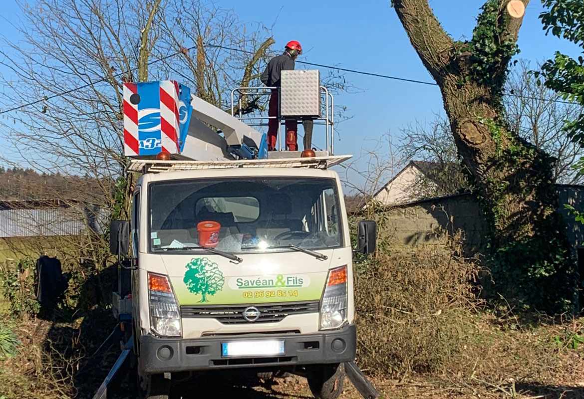 travaux elagage coupe arbre cotes armor savean