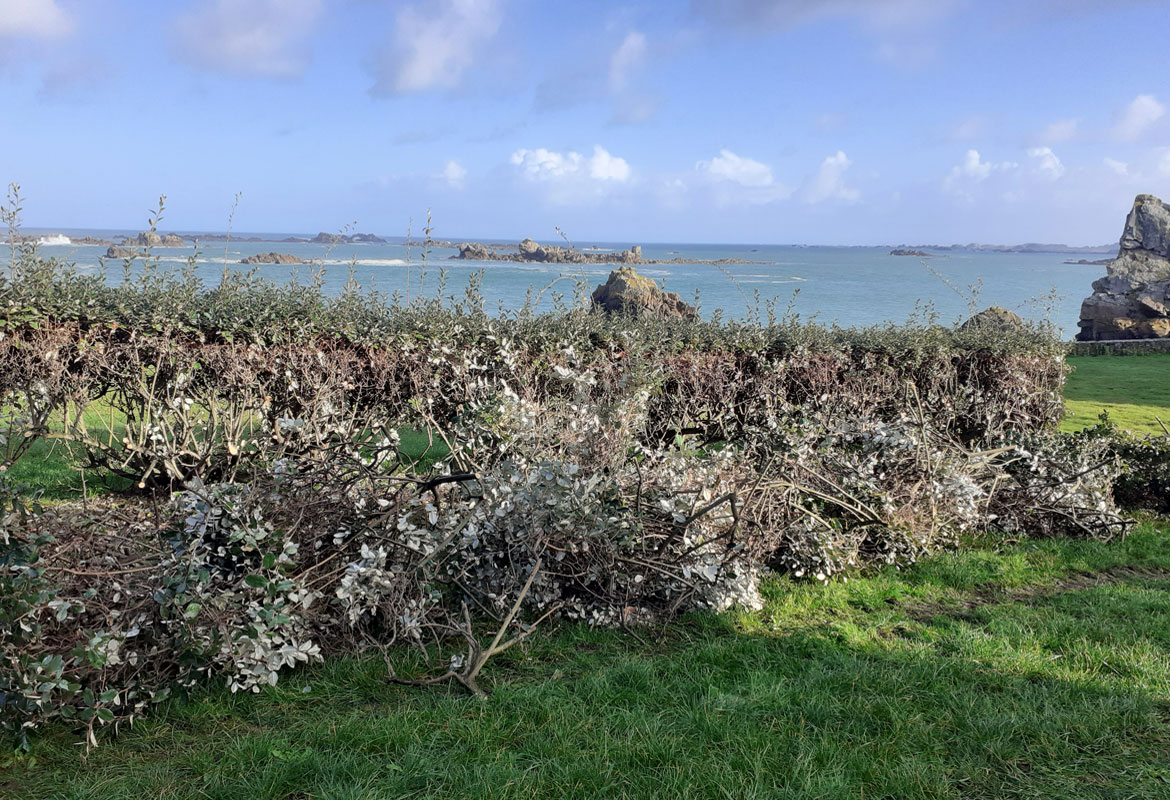 Entretien savean Côtes d'Armor