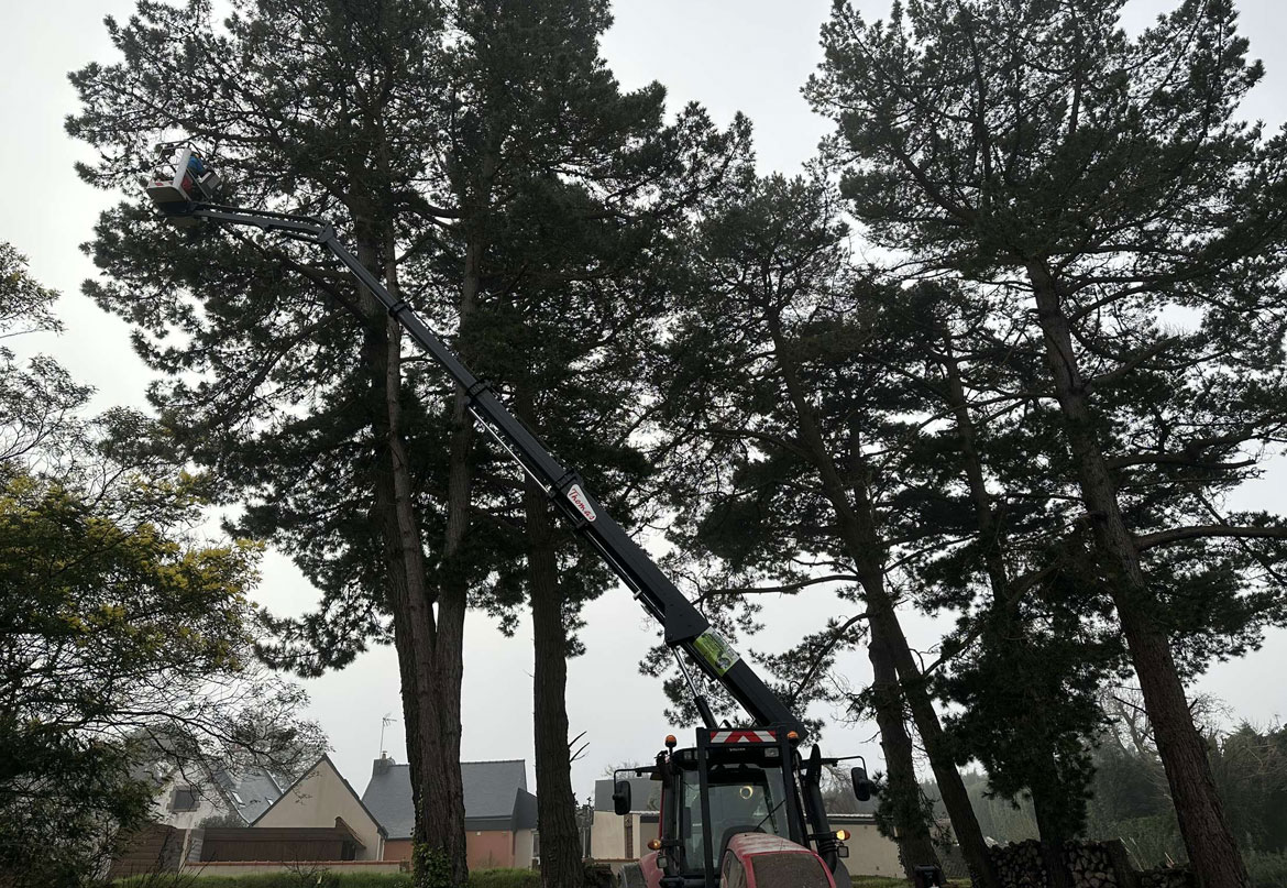 Grue nacelle savean bois arbre