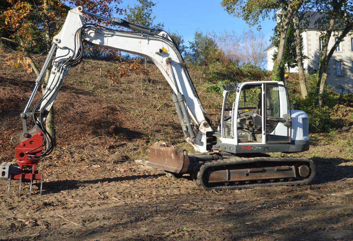 Savean pelle bois arbre