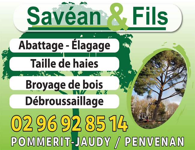 Équipe SAVEAN & Fils spécialisée en broyage et dessouchage d'arbres
