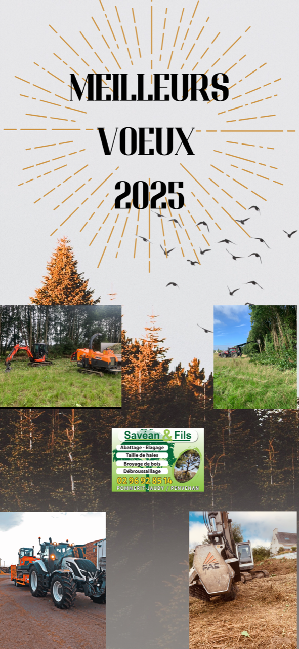 L’entreprise SAVEAN & fils vous souhaite ses meilleurs vœux pour 2025