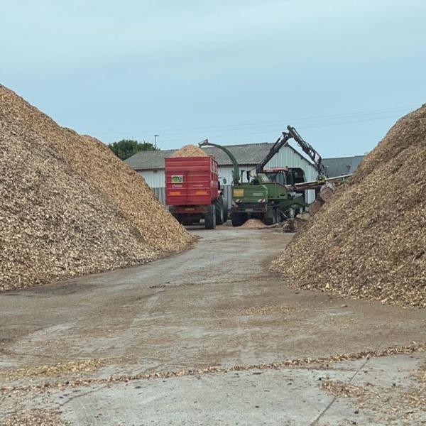 Broyage de bois en Côtes d'Armor