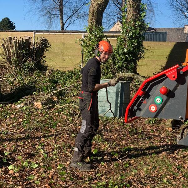 Dessouchage d'arbre en Côtes d'Armor