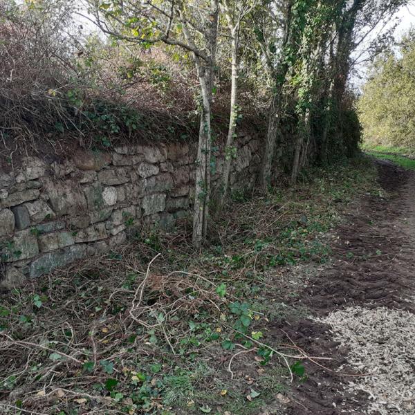Entretien des espaces boisés