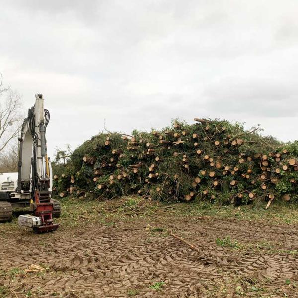 Travaux forestiers en Côtes d'Armor