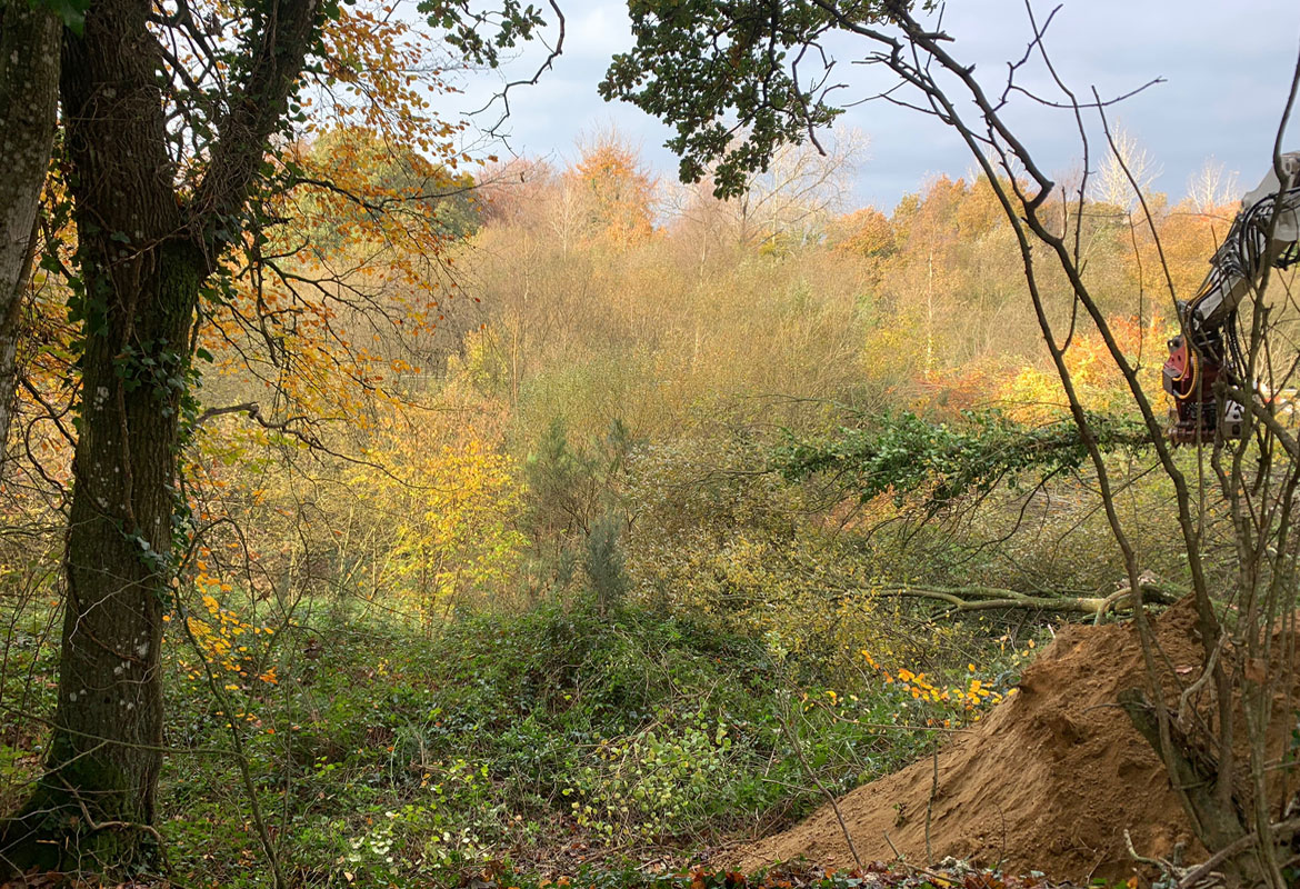 Travaux forestier côtes d'Armor