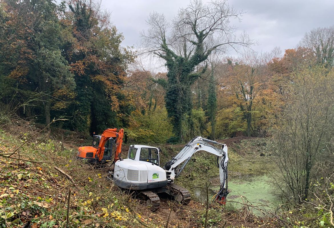 Travaux forestier abattage savean