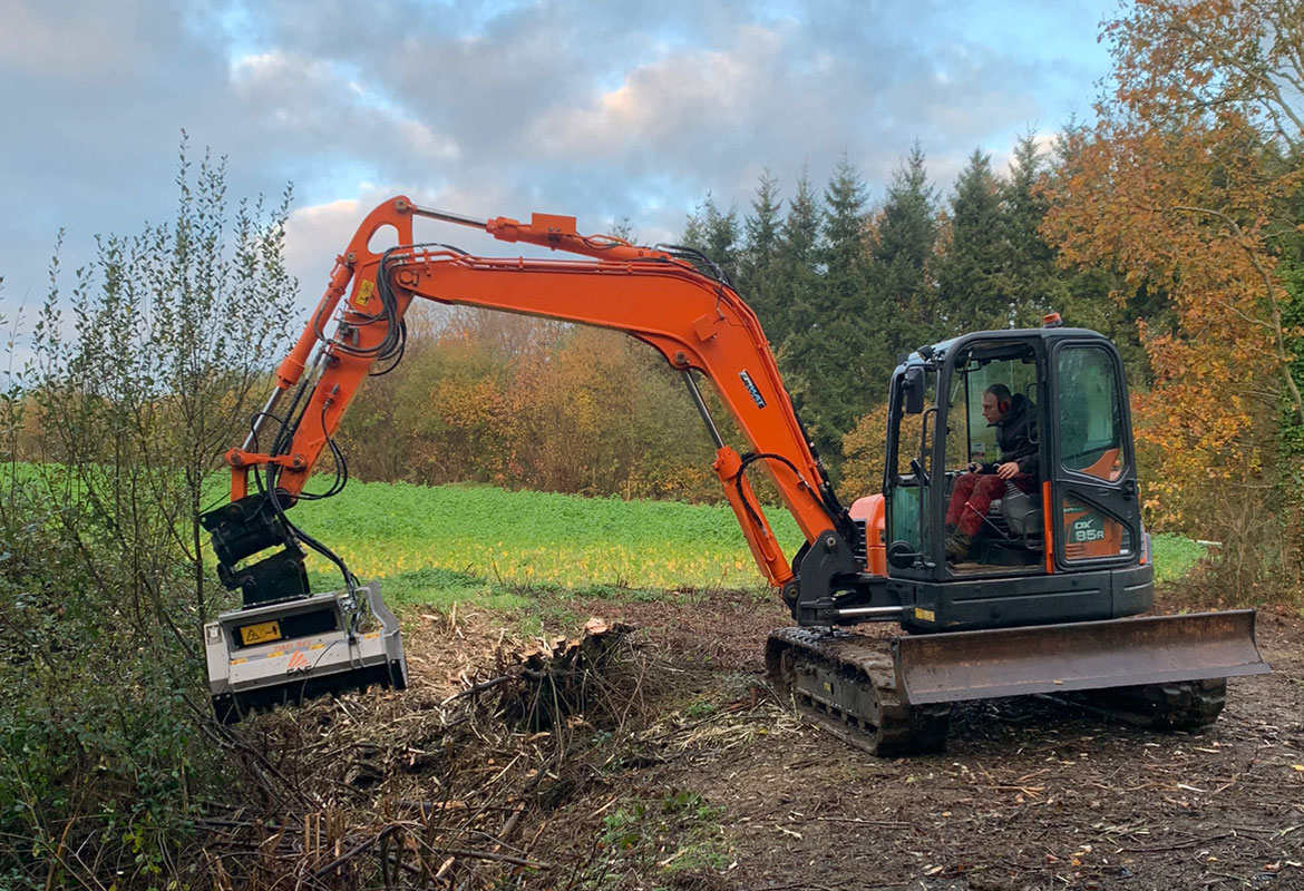 Travaux forestier elagage savean