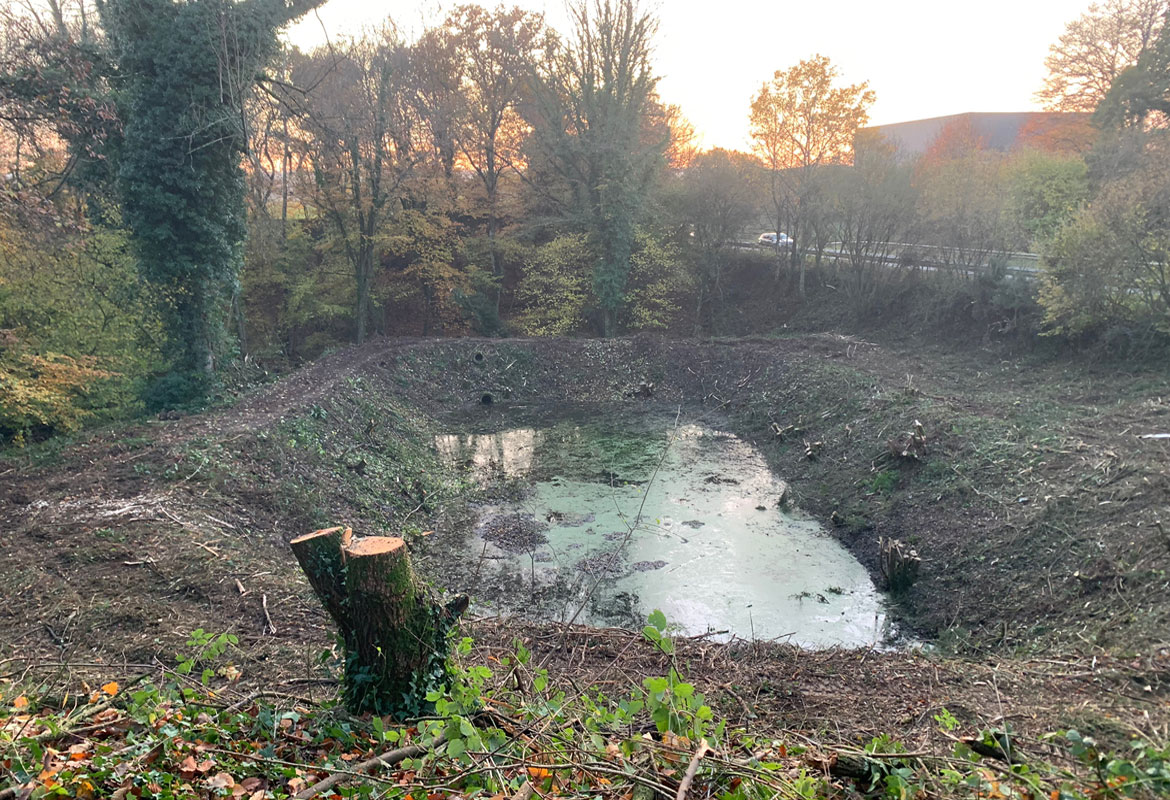 Travaux forestier broyage savean