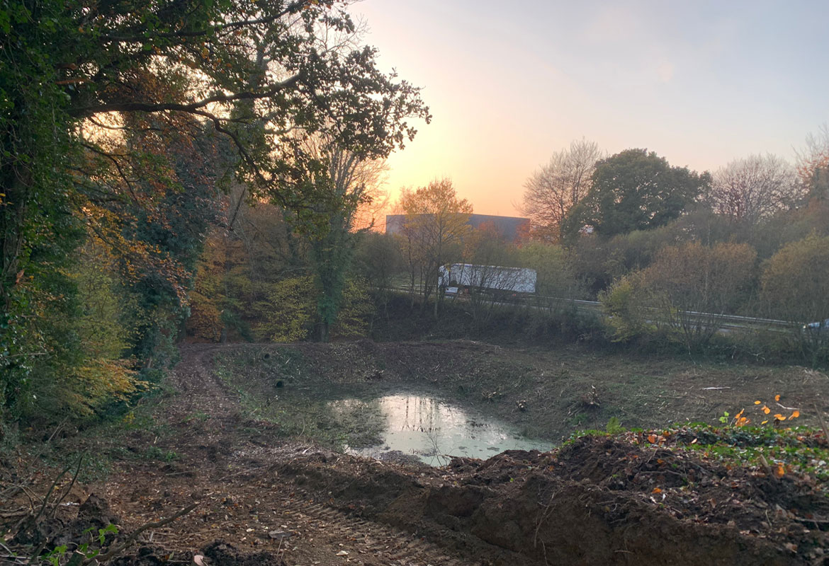 Travaux forestier entretien savean